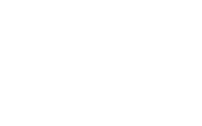 Torinox Protocol